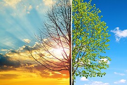 Clima, prossimi 5 anni i più caldi di sempre: il rapporto WMO