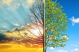 Clima, prossimi 5 anni i più caldi di sempre: il rapporto WMO