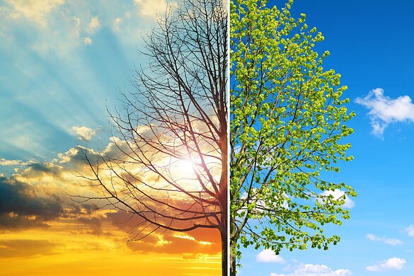 Clima, prossimi 5 anni i più caldi di sempre: il rapporto WMO