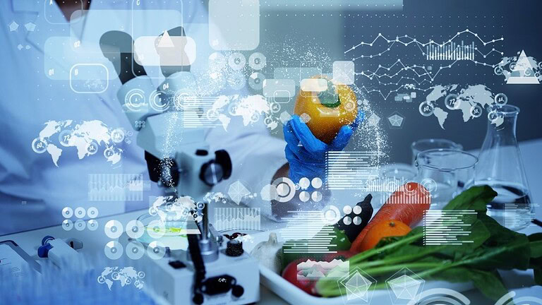 Foodtech europeo: perché il calo dei fondi nasconde una svolta imminente
