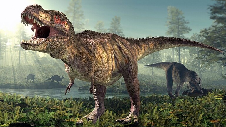 T. Rex, le braccia piccole non erano un difetto: lo studio