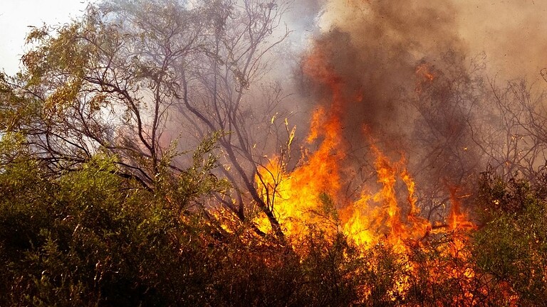 Incendi, i giorni "ideali" per i roghi sono triplicati in 45 anni
