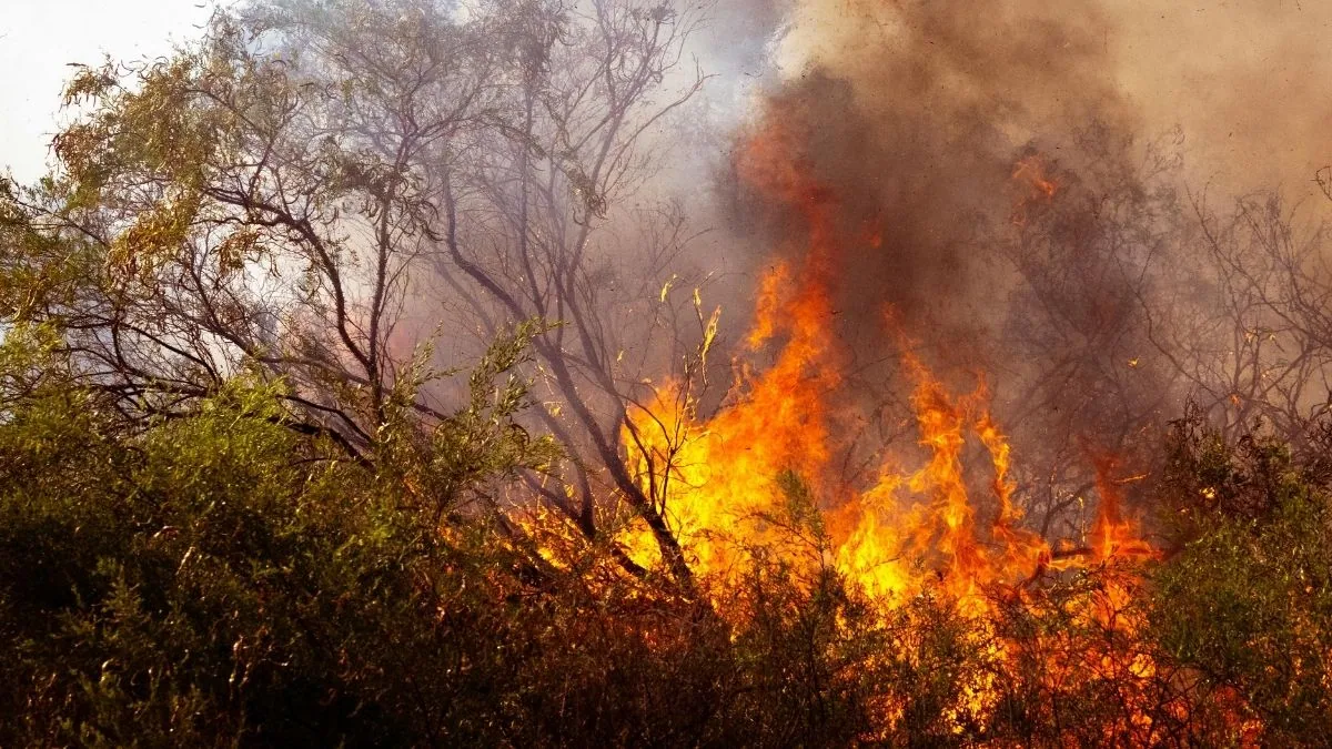 Incendi, i giorni "ideali" per i roghi sono triplicati in 45 anni
