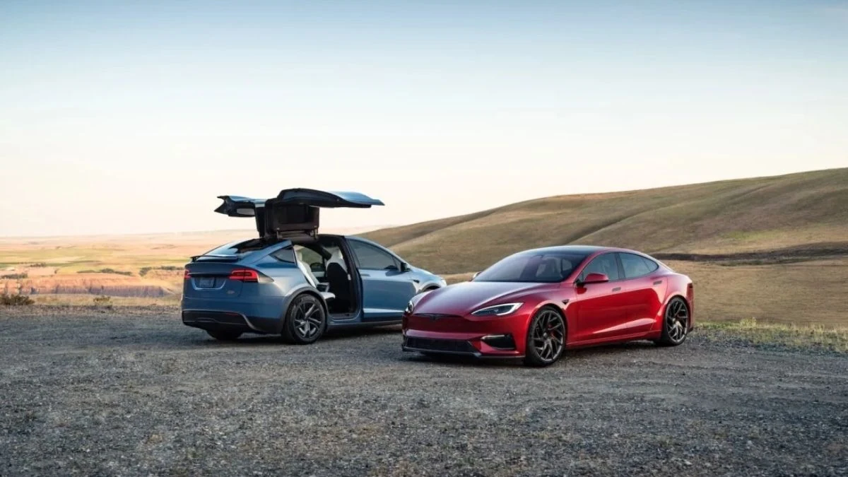 crash test tesla
