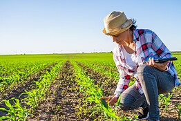 DNA antico, le donne che diffusero l’agricoltura nell’Europa preistorica