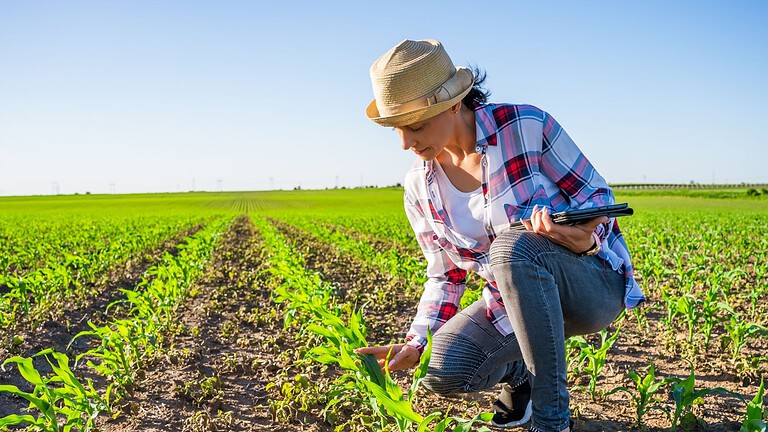 DNA antico, le donne che diffusero l'agricoltura nell'Europa preistorica
