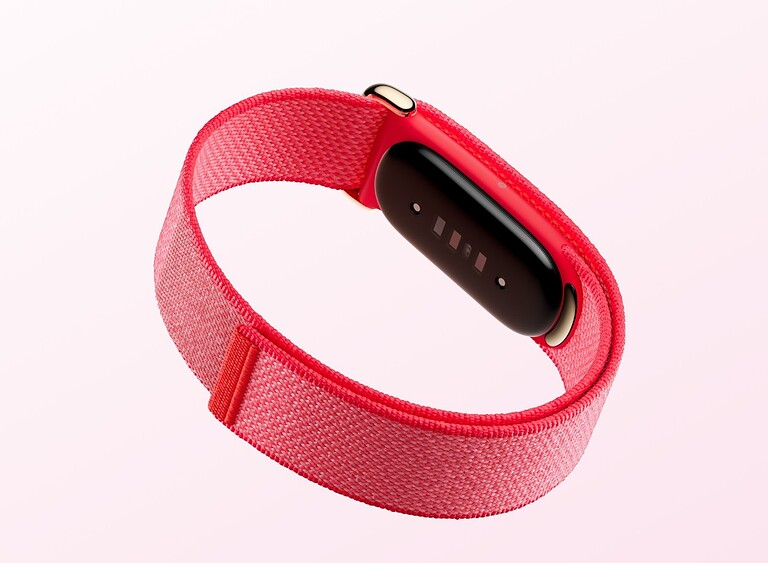 fitbit - dettaglio fitbit - dettaglio