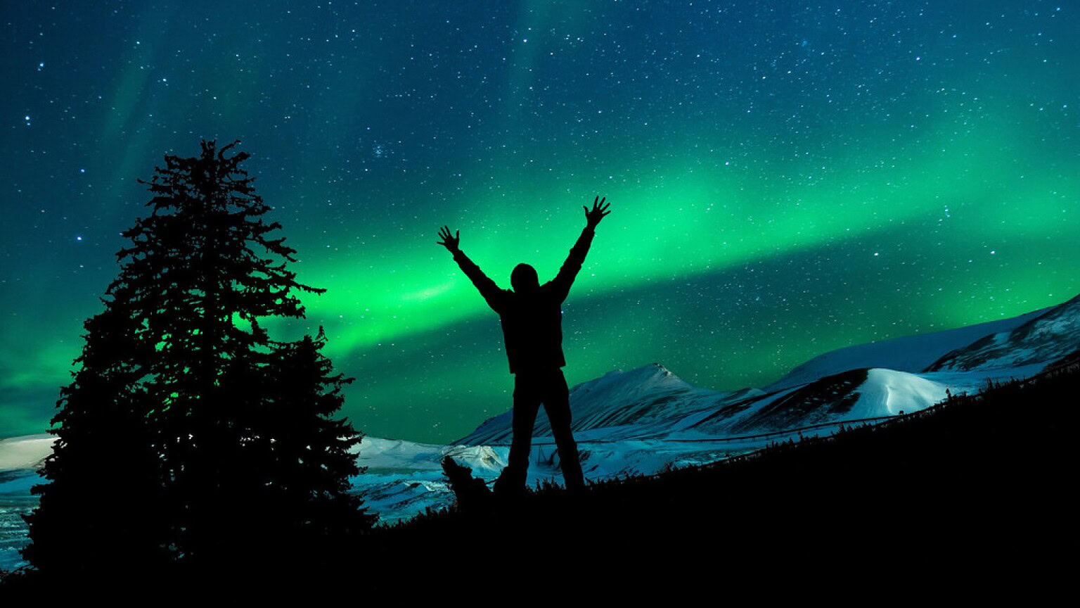 Norvegia, la caccia alle aurore boreali è diventata un affare fuori controllo - aurore boreali Norvegia