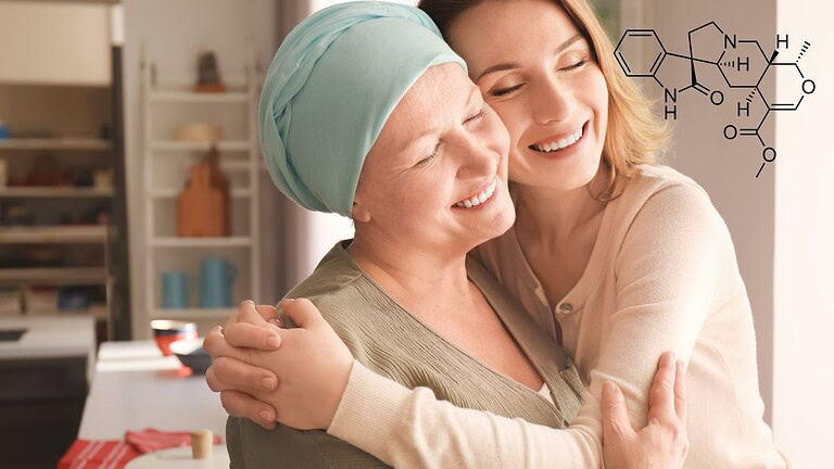 Mitrafillina: decodificata la molecola vegetale che combatte il cancro