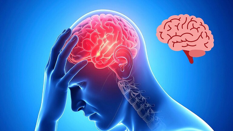 Cervello umano più piccolo ma più intelligente: il paradosso spiegato