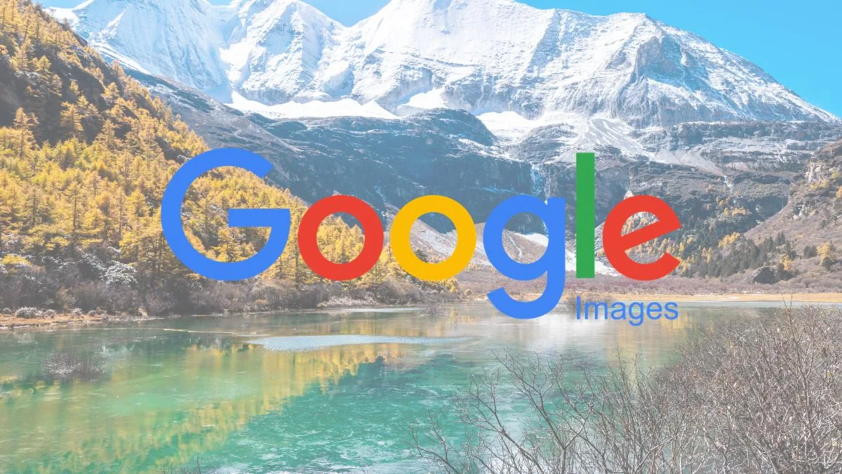 Google Pics: la nuova app che vuole battere Canva e Photoshop