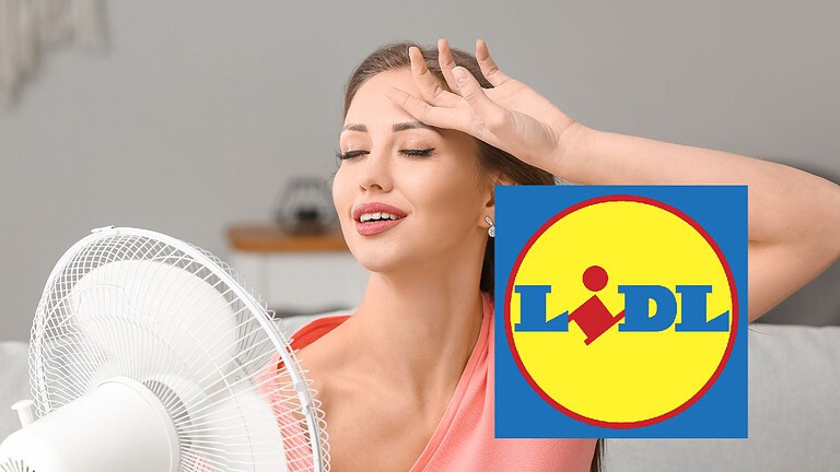 Lidl lancia ventilatore senza pale e refrigeratore a prezzi assurdi