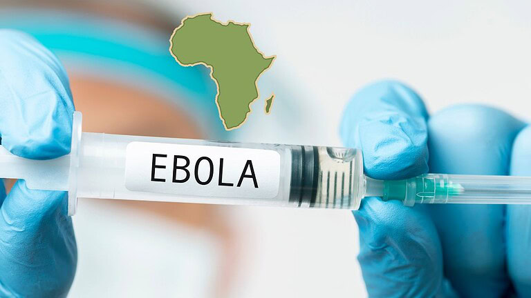 Ebola torna in Africa centrale: l'allarme dell'OMS spaventa tutti