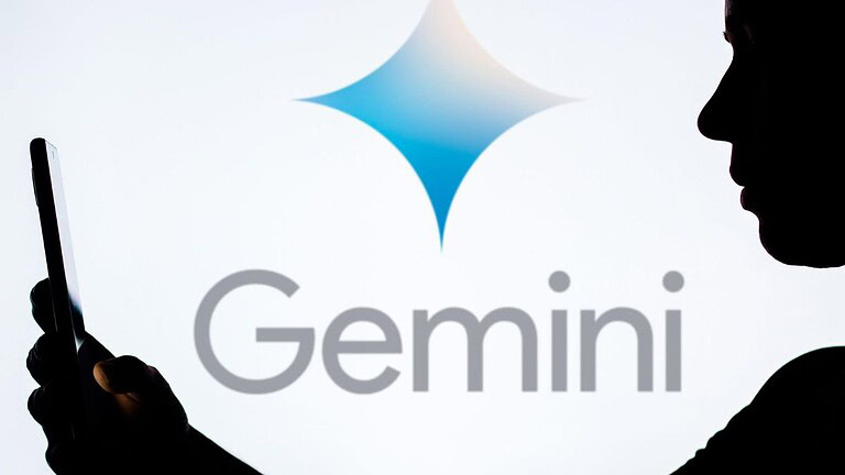 Gemini scambia i gatti per procioni: l'errore assurdo con le cam