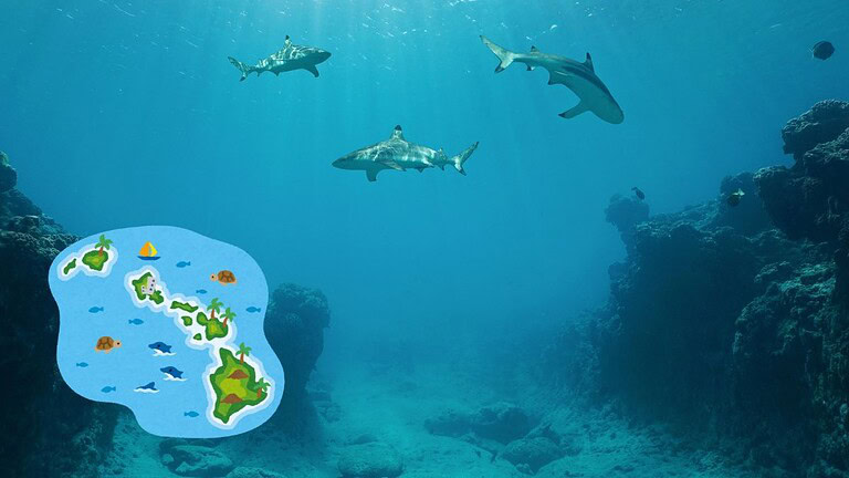 Oceano Pacifico più alto dell'Atlantico di 20 cm: ecco perché