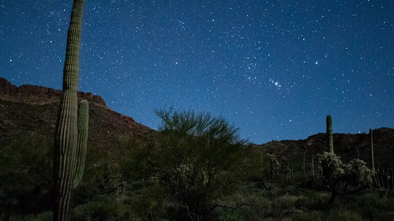 Organ Pipe Cactus National Monument diventa un Dark Sky Park - Dark Sky Park Arizona