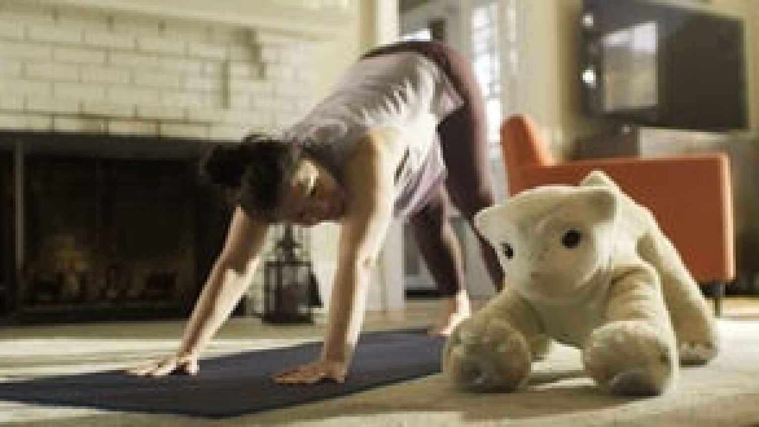 Familiar: il papà di Roomba lancia il robot pet con intelligenza artificiale - Familiar robot pet