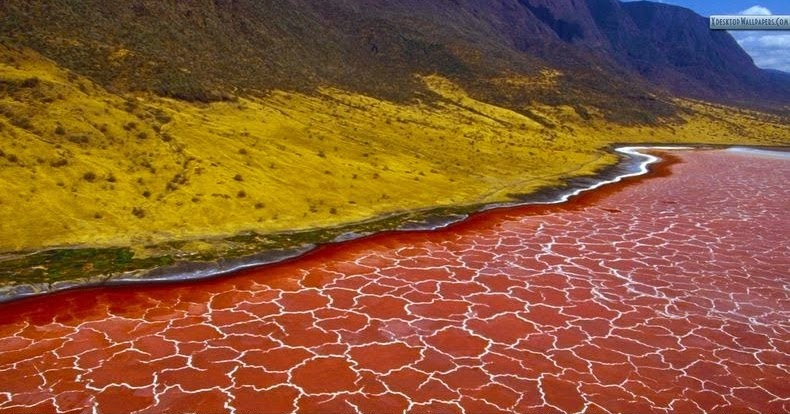 Lago natron Africa
