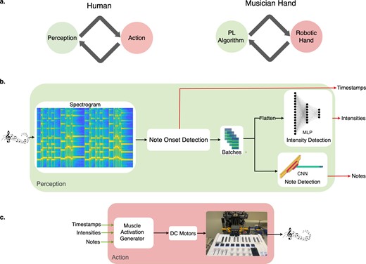 Musician Hand Mano robotica impara a suonare il pianoforte