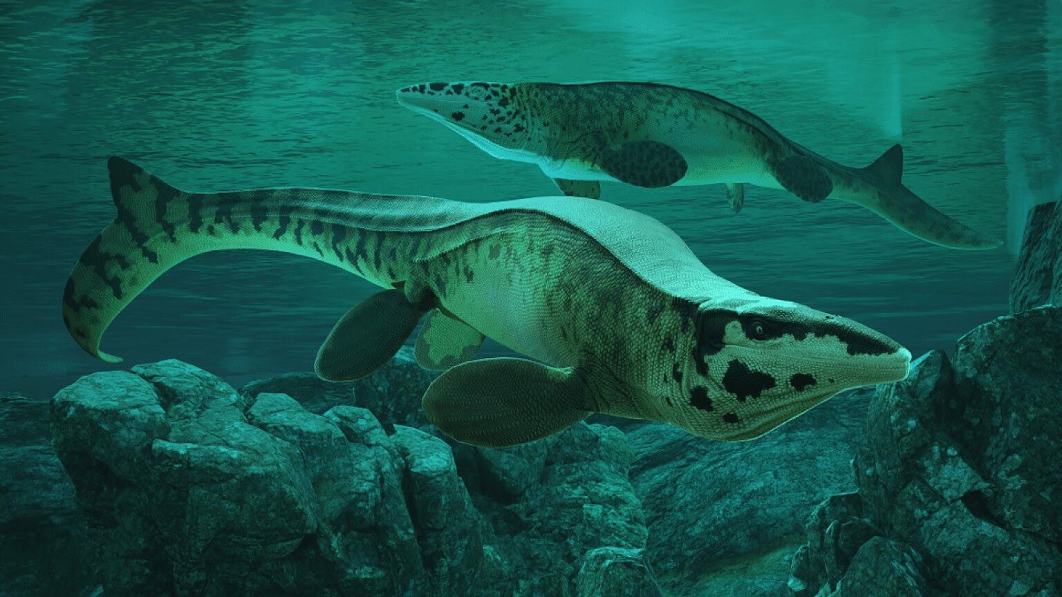 Mosasauro scoperto: il "T. rex dei mari" che dominava gli oceani - mosasauro T. rex dei