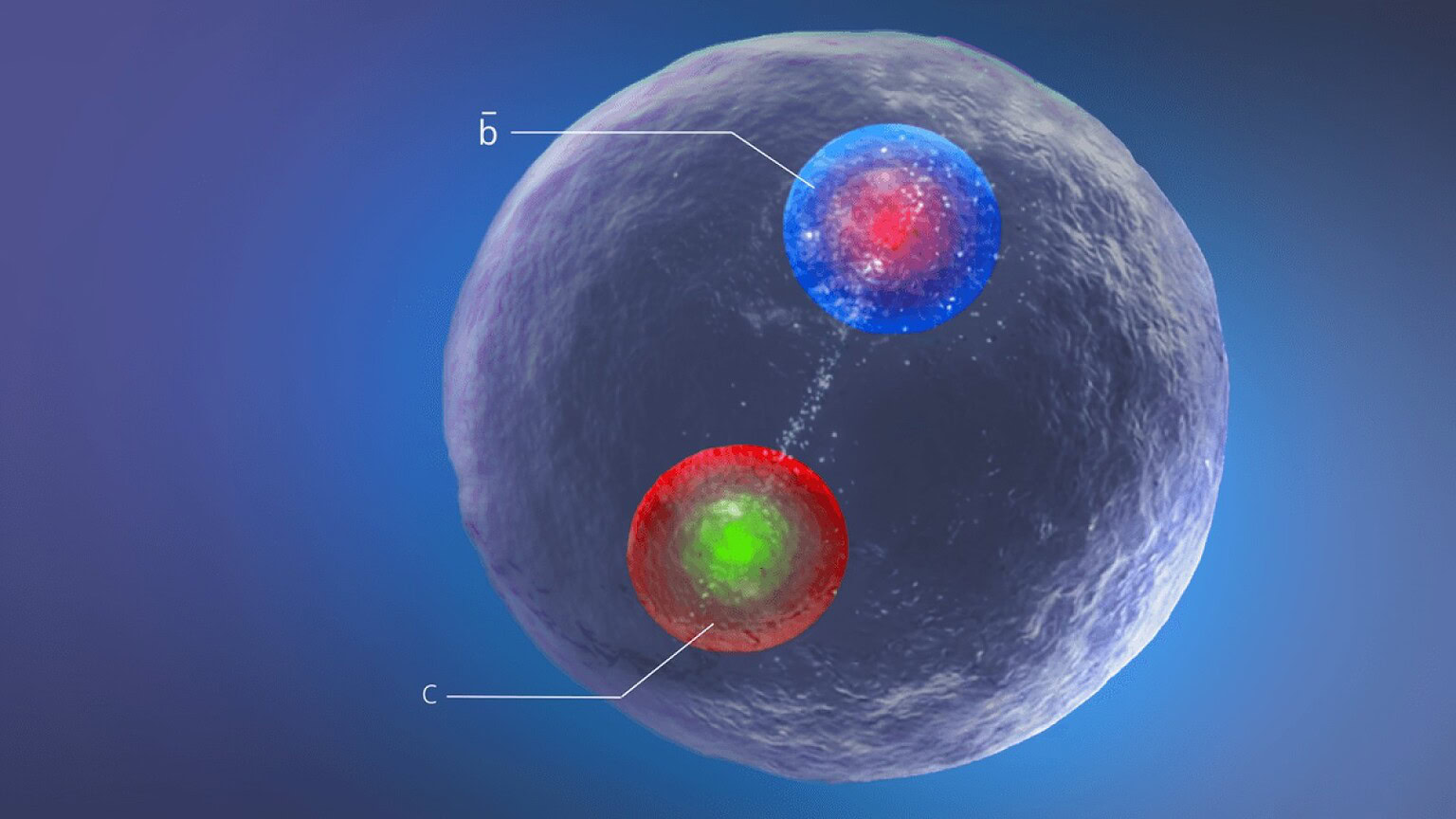 CERN, scoperta una nuova particella attesa da oltre 25 anni - nuova particella CERN