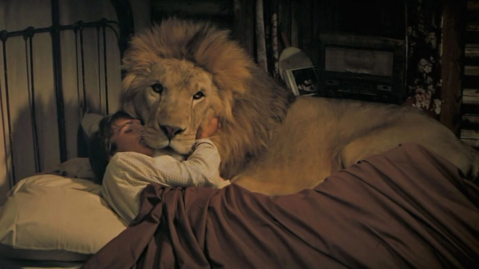 Roar: il film con 70 feriti sul set che nessuno voleva distribuire