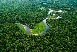 Amazzonia tra 100 anni: il futuro della foresta potrebbe lasciarvi di stucco