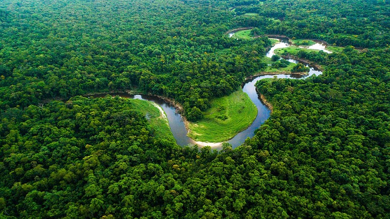 Amazzonia tra 100 anni: il futuro della foresta potrebbe lasciarvi di stucco