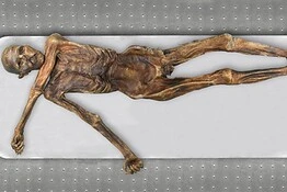 Mummia Ötzi, dopo 5.300 anni trovati microrganismi vivi al suo interno