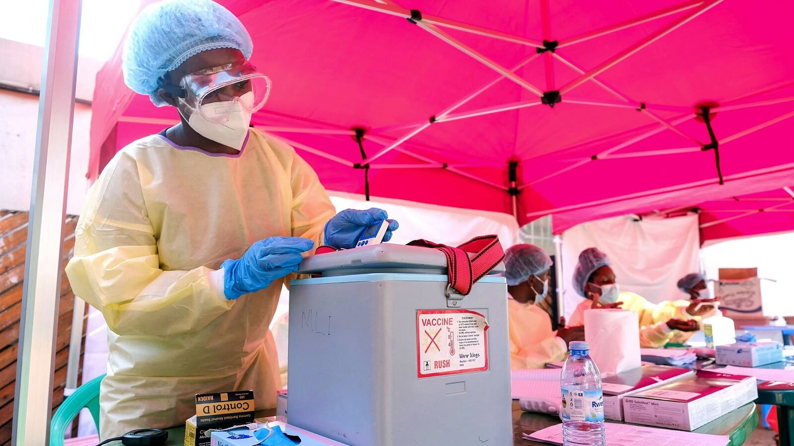 Vaccino contro l'ebola