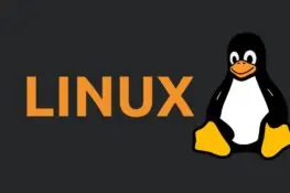 Elgato 4K X, ora Linux registra video 4K a 60 fps senza driver