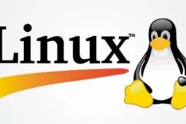 Linux 7.1, Torvalds esulta: dopo il caos delle patch AI il kernel torna alla normalità