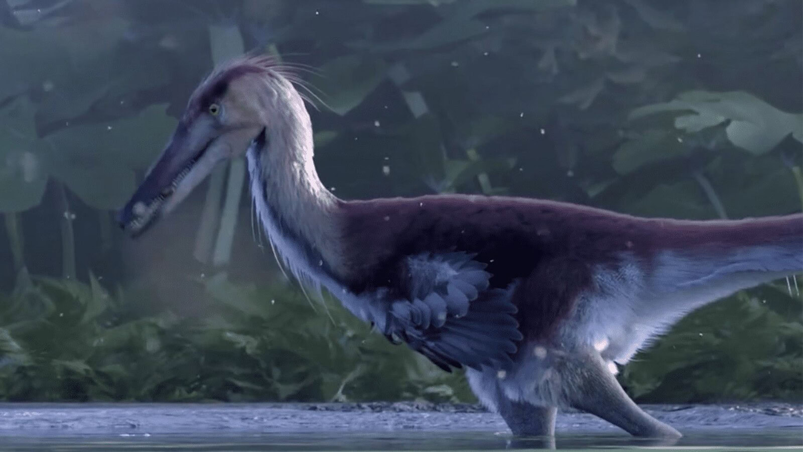 Kank australis, il dinosauro pescatore scoperto in Patagonia