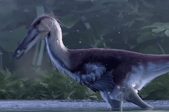 Kank australis, il dinosauro pescatore scoperto in Patagonia