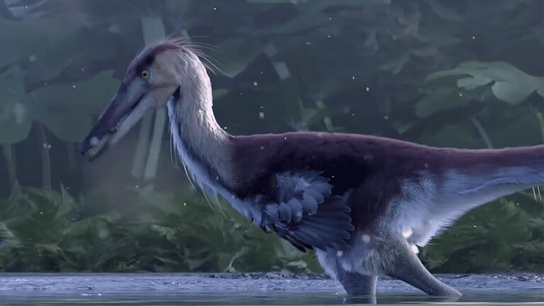 Kank australis, il dinosauro pescatore scoperto in Patagonia