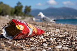Ecosistema intero minacciato da… una busta di patatine caduta a terra