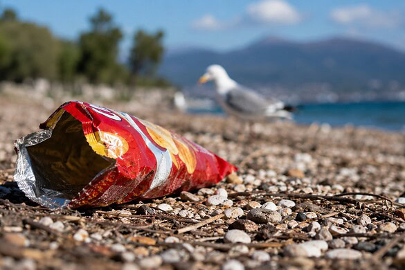 Ecosistema intero minacciato da… una busta di patatine caduta a terra
