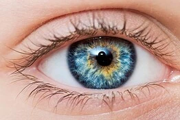 Collirio agli spinaci: la fotosintesi cura l’occhio secco nei topi