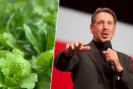 Larry Ellison brucia 500 milioni per coltivare lattughe su un’isola