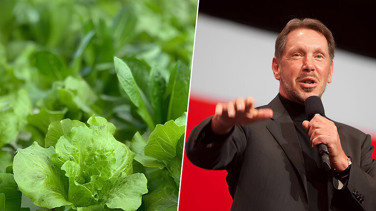 Larry Ellison
