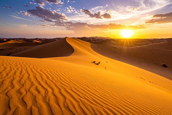 Dune, la saga che aveva previsto la crisi climatica