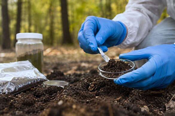 Terreno sterilizzato continua a “respirare” per 6 anni: il mistero