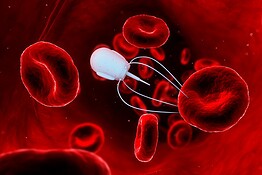 Nanorobot magnetici e cellule staminali per curare le lesioni spinali