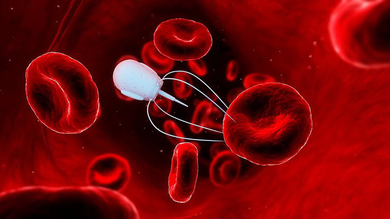 nanorobot