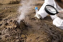 Terreno che respira: la scoperta francese che sfida i confini della vita