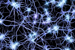 Colla per i nervi, l’invenzione di Tissium che ripara le lesioni nervose