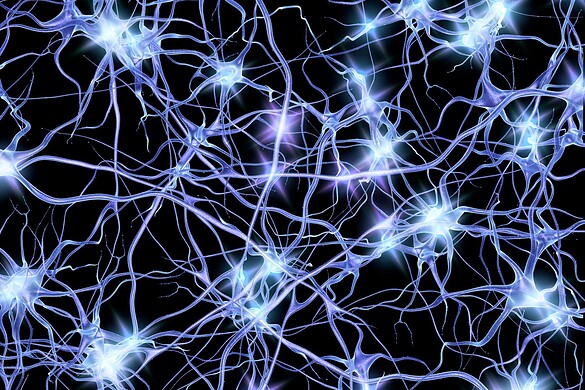 Colla per i nervi, l’invenzione di Tissium che ripara le lesioni nervose