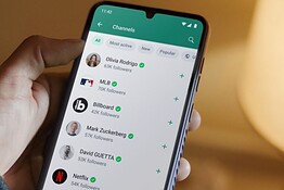 WhatsApp username, come prenotare il proprio nome utente da subito