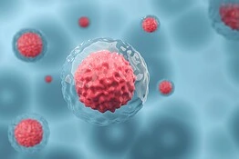 Cellule staminali, prima remissione completa di 15 anni senza farmaci