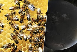 Caccia alla vita aliena: la NASA punta su uno sciame di telescopi